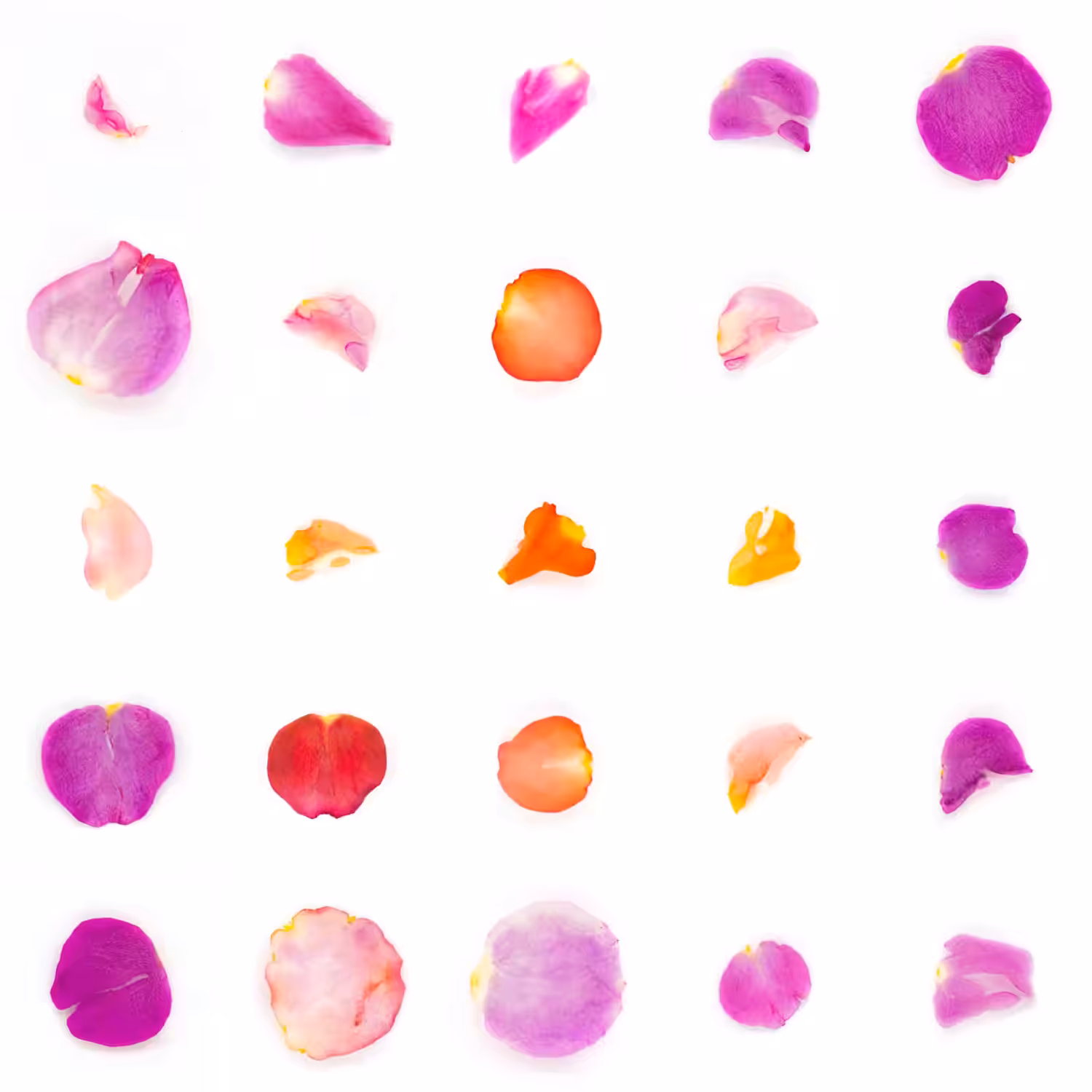 Infinite Petals 5x5#1961