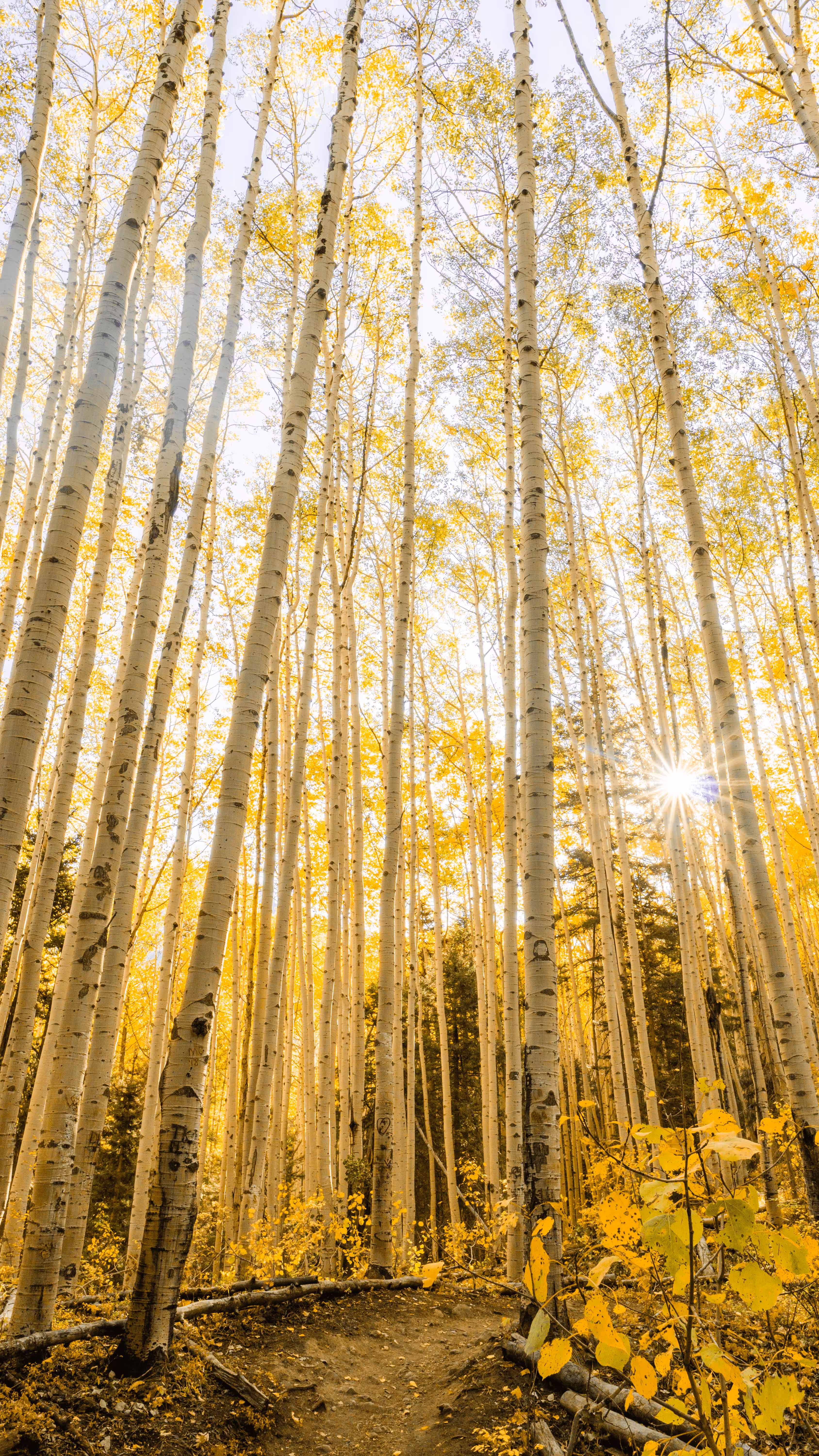 Colorado Lanscapes #21 