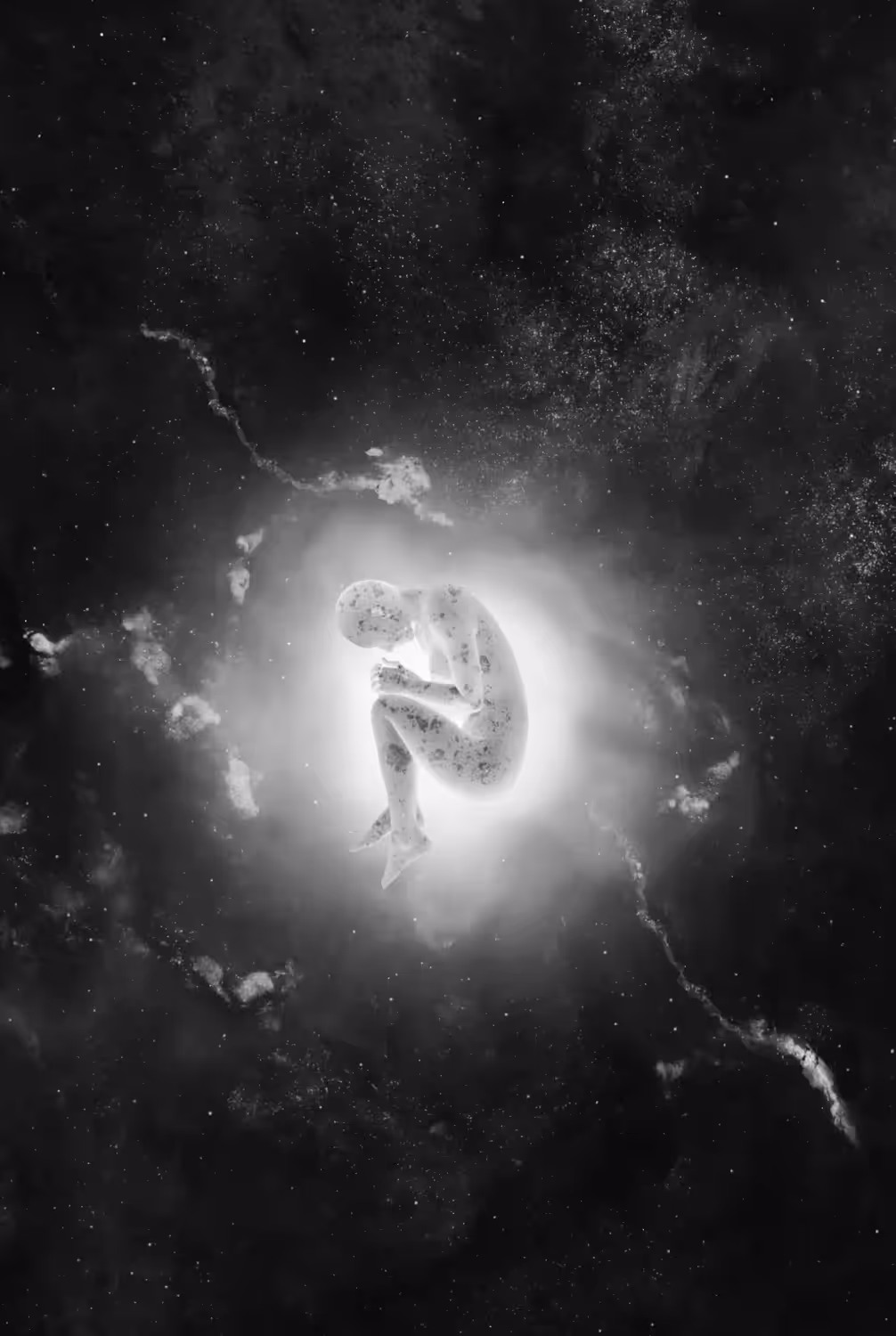 Dorsal 10 / The Abyss