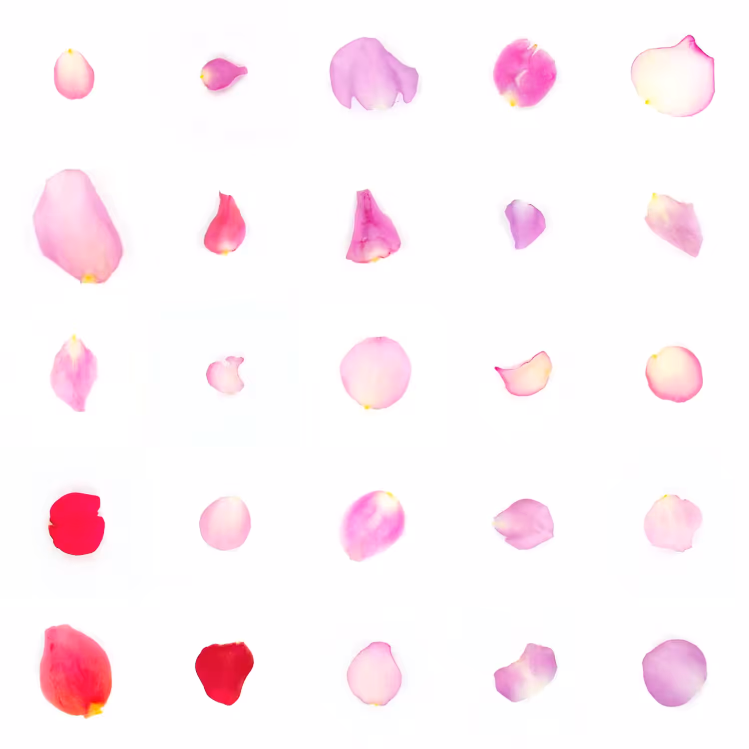 Infinite Petals 5x5#1
