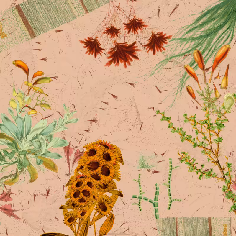future flora from Antarctica's past #32