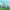 Smol Landscape