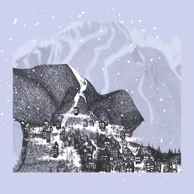 White Mountain Winter #77