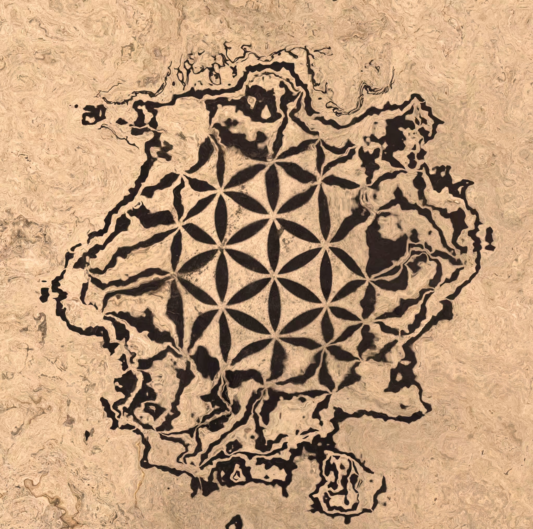 THE EARTH