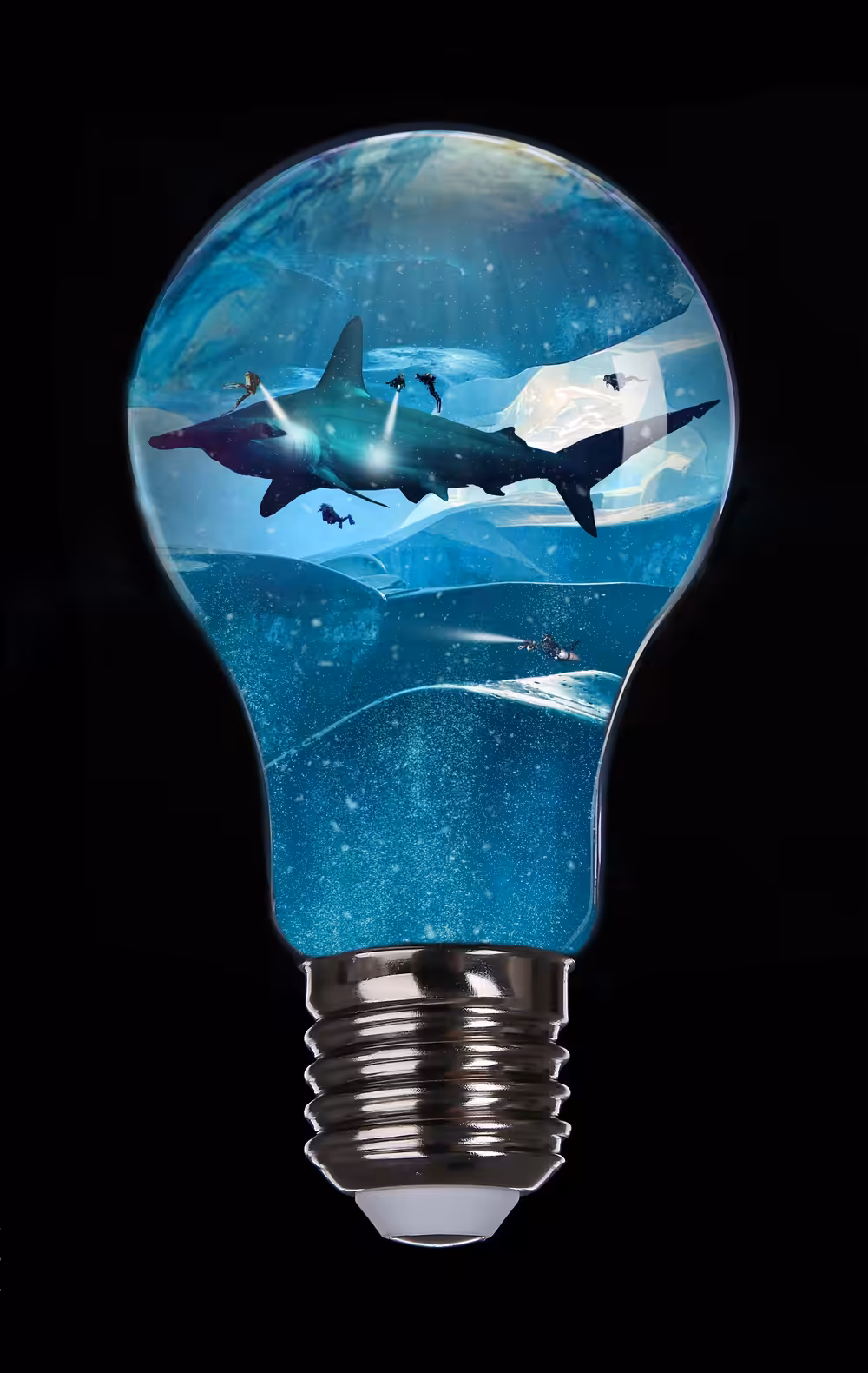 Shark Light