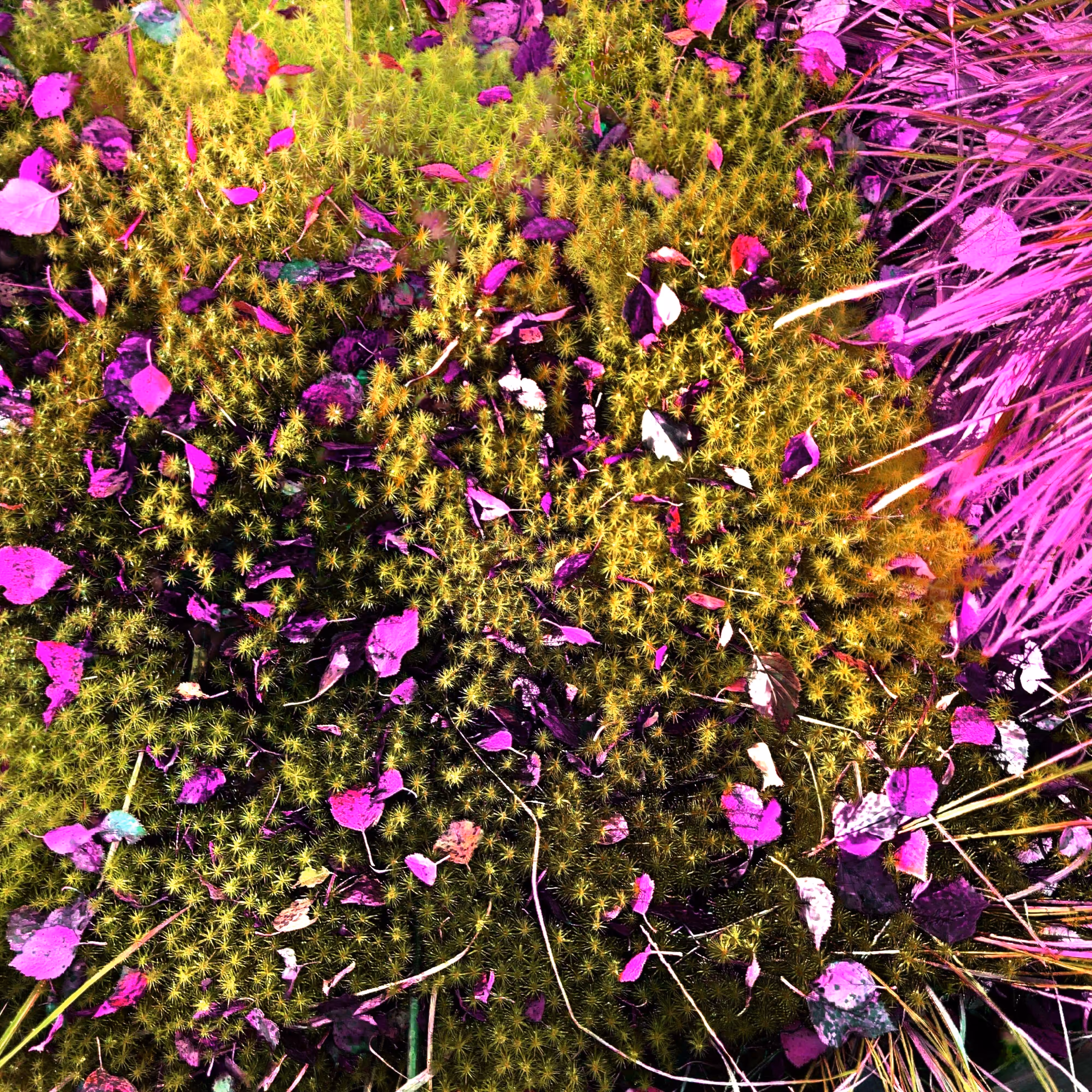 Plot u329hvhgc