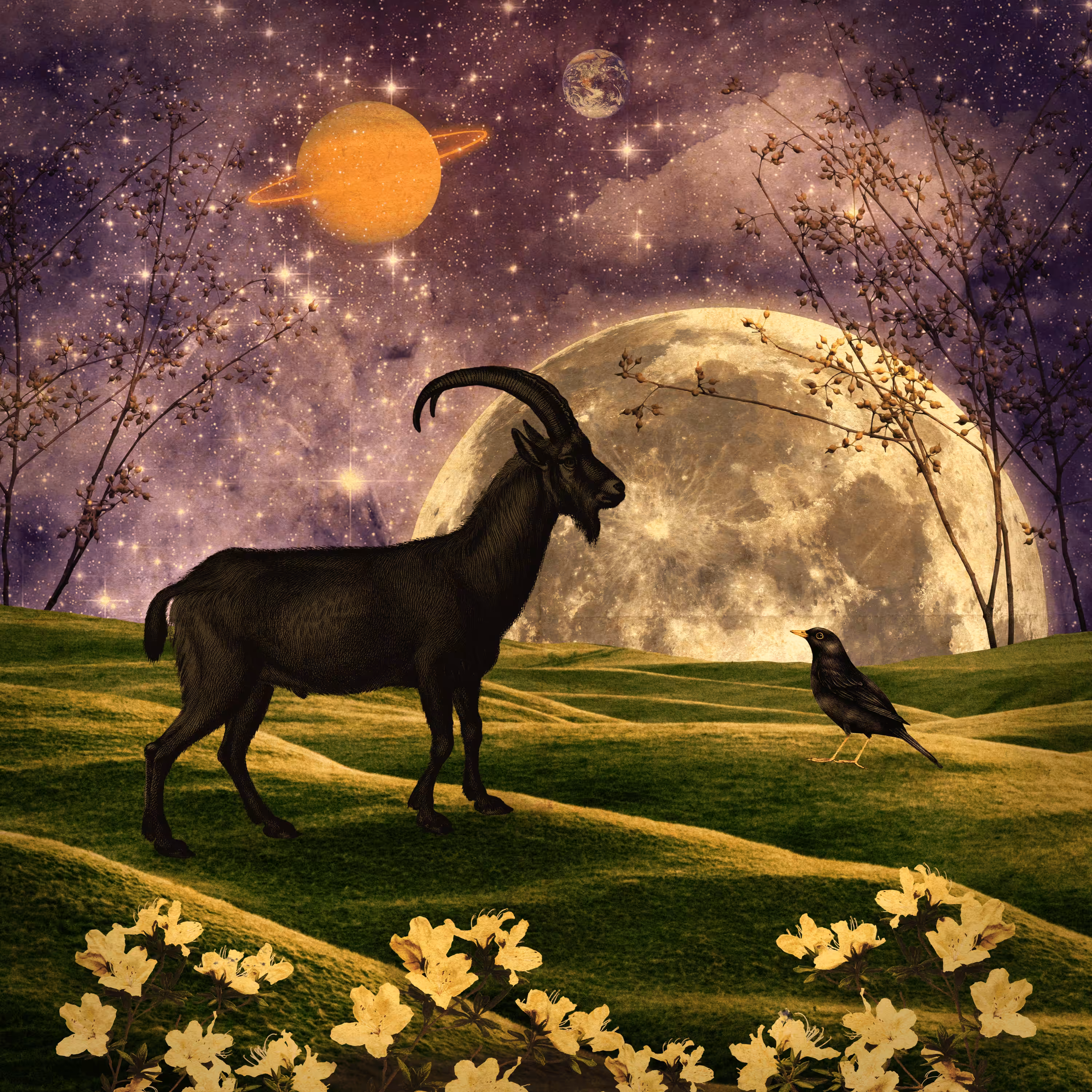 At Moonrise