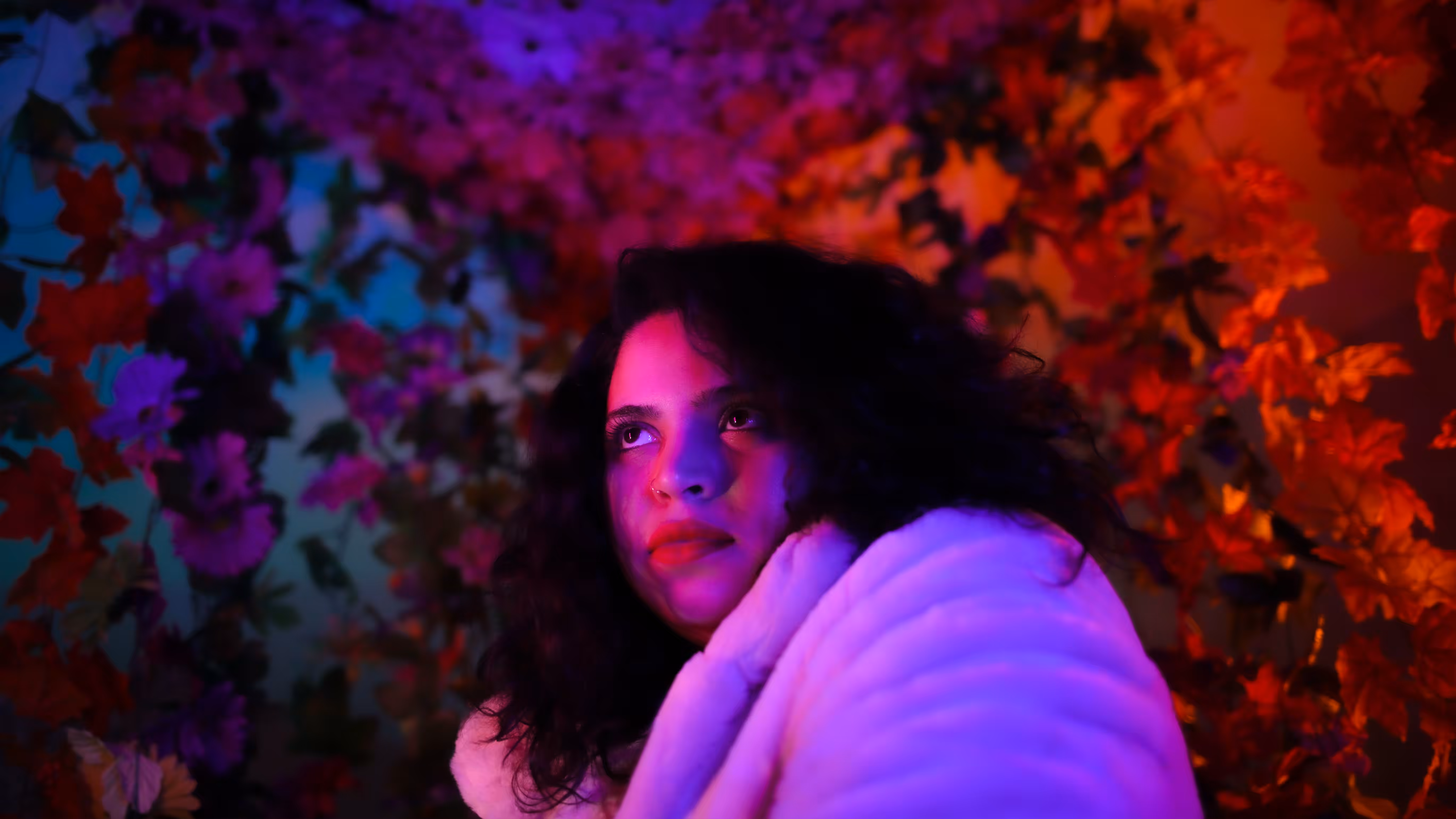 Candy II