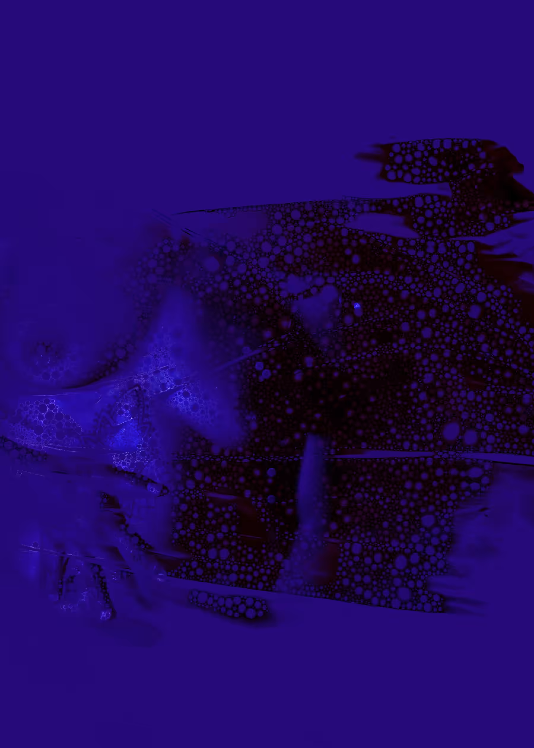 Blue - 01