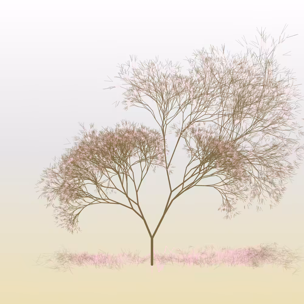 Hanami #16