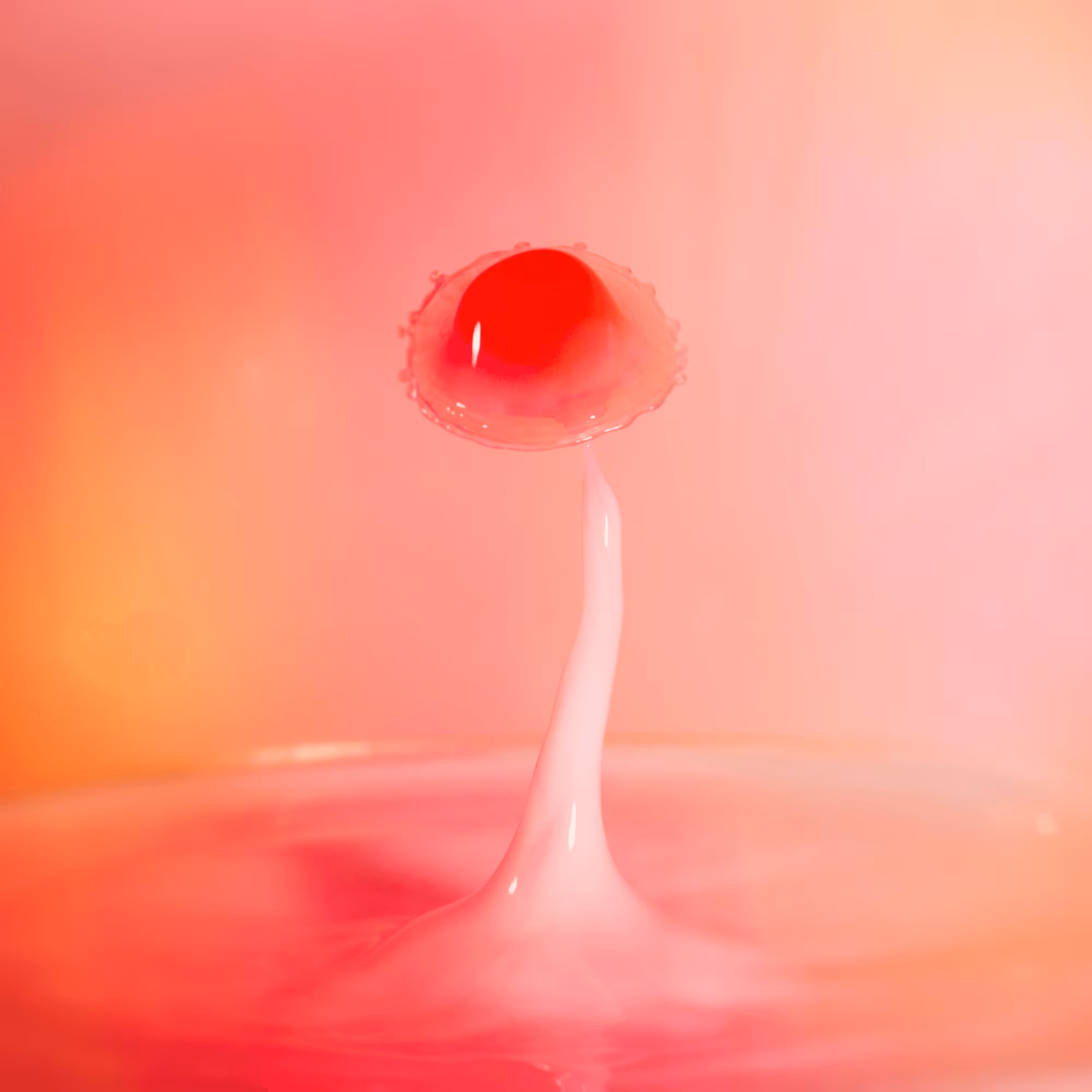 Sombrero de Gelatina