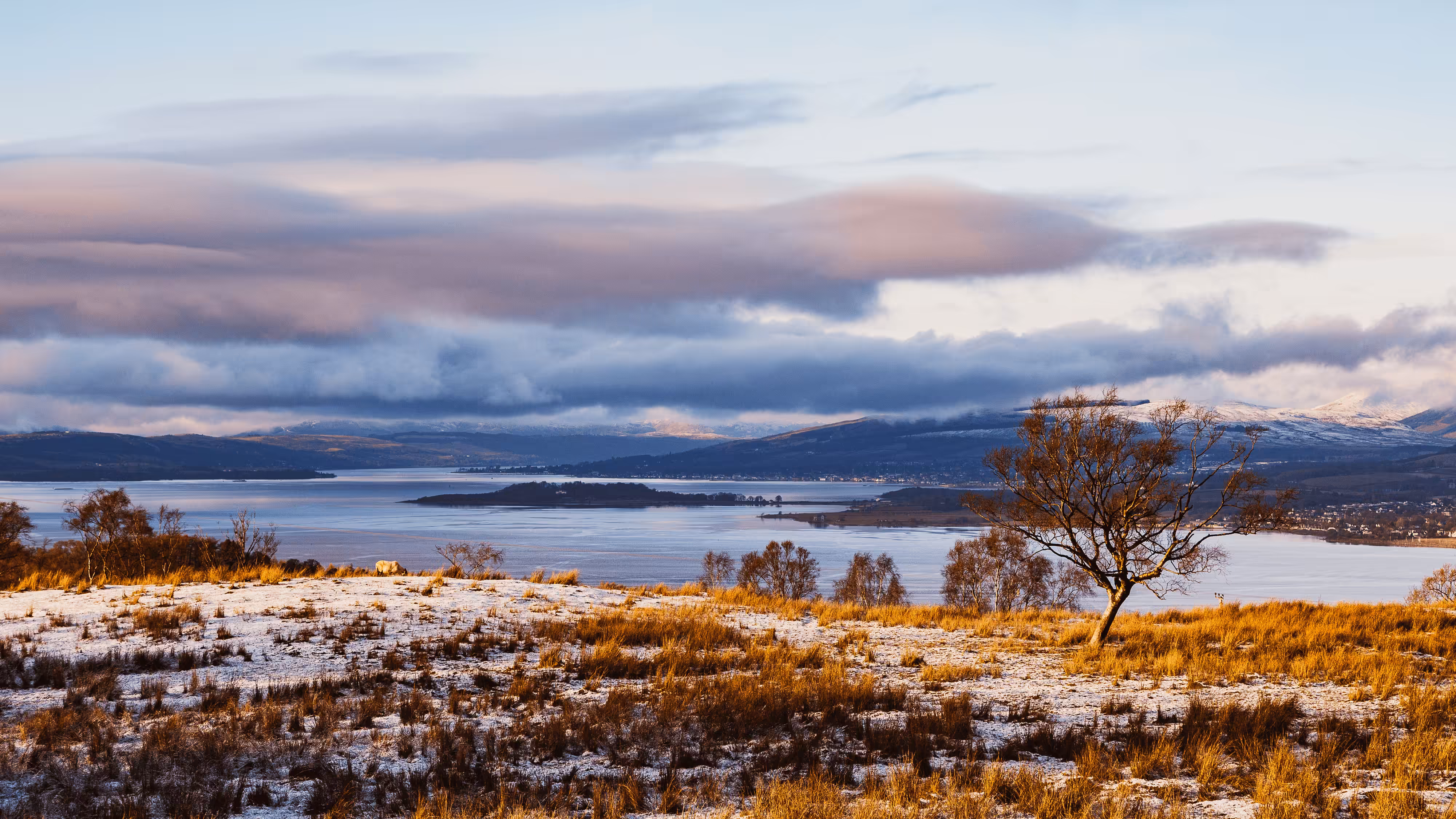 #11 A Touch of Winter