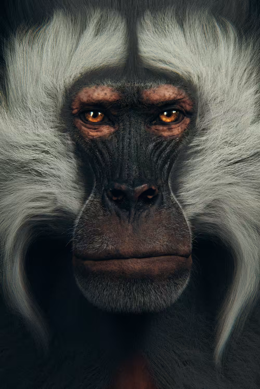 Primate 5 | Gelada Baboon