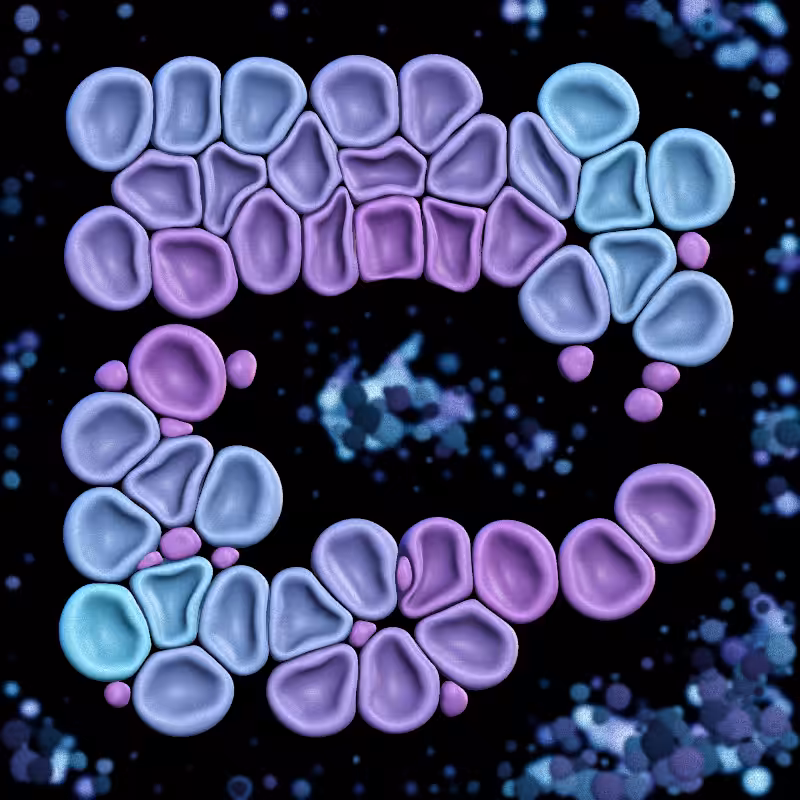 Haemo Globs #77