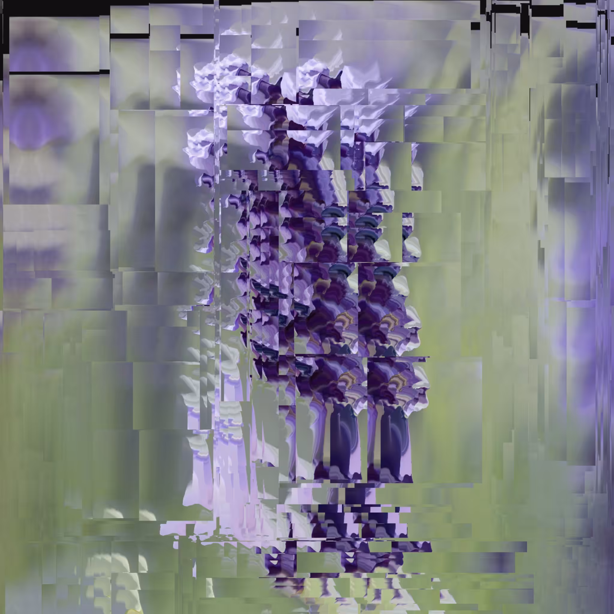lavendars are weeds