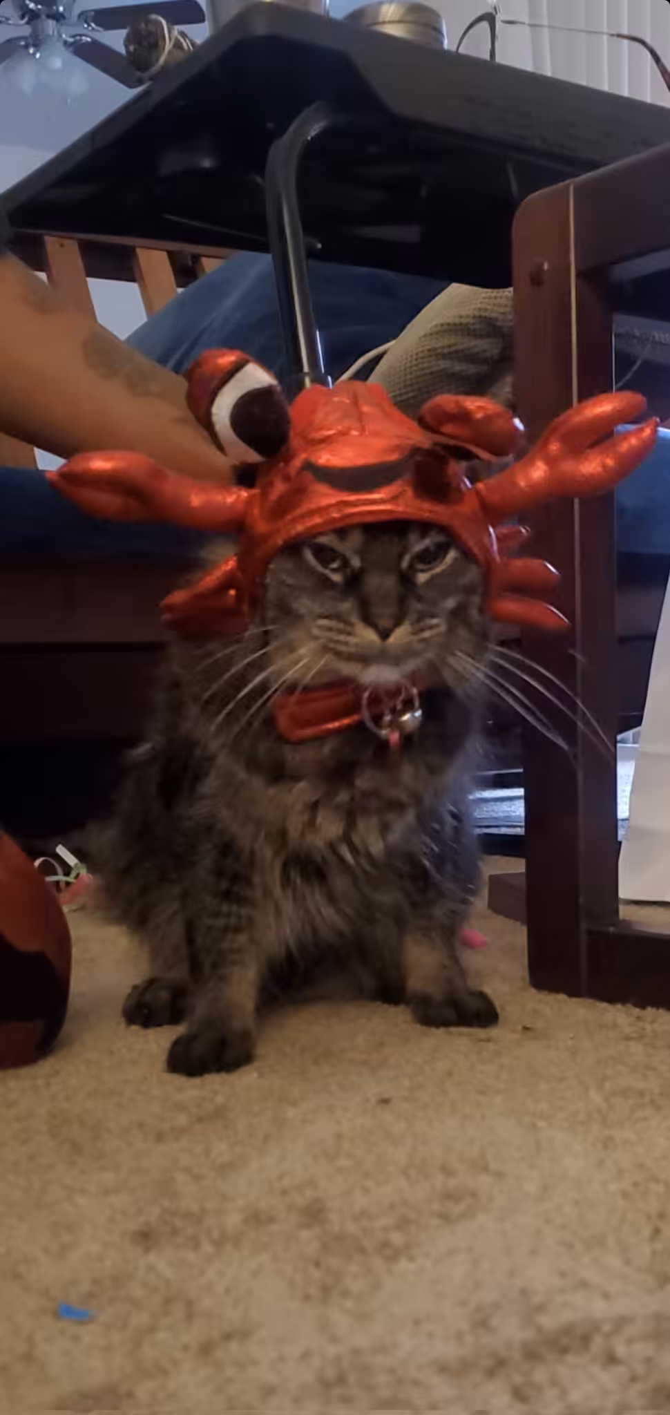 Peppa 1/3 (Crab)