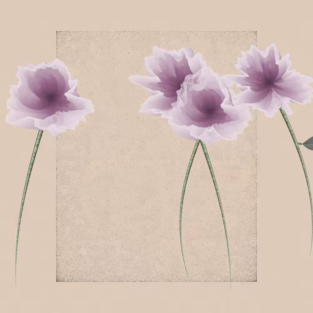 Magnolia #20