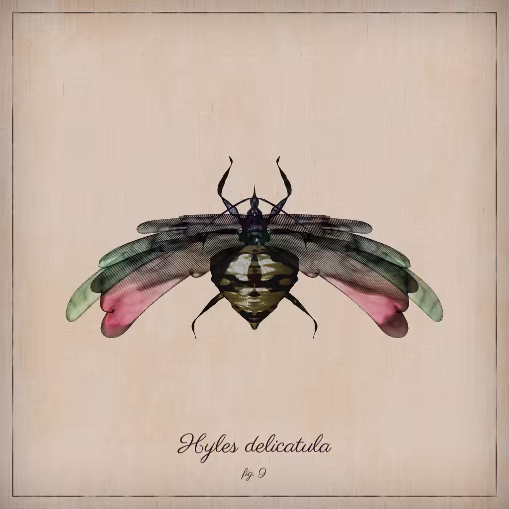 ProcGen Entomology #79