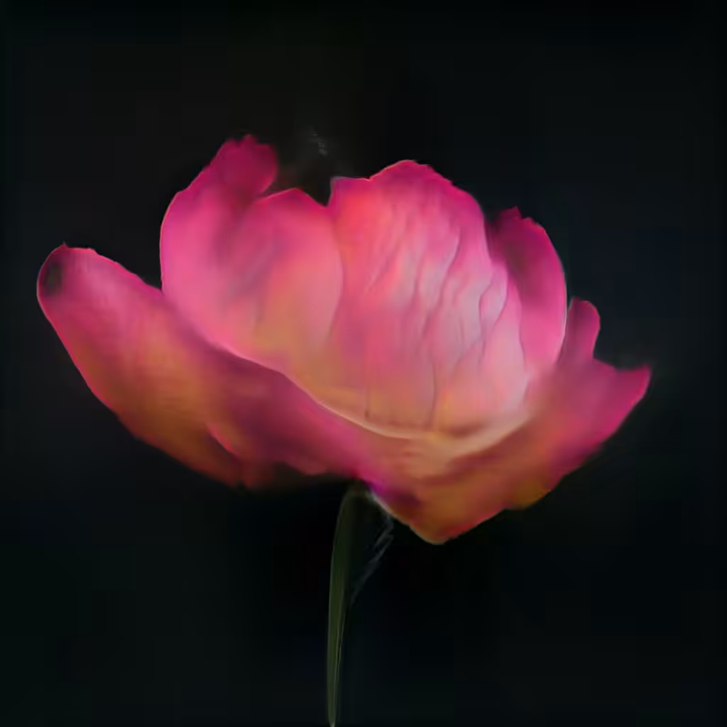 Petals