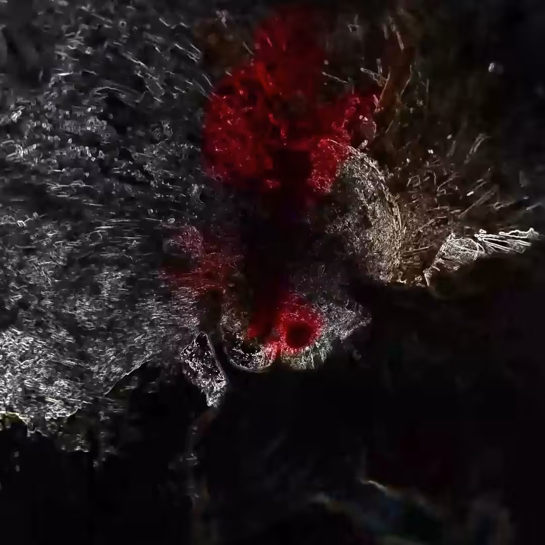 Descent