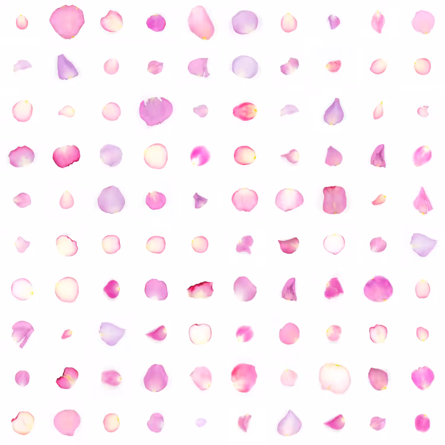 Infinite Petals 10x10#831