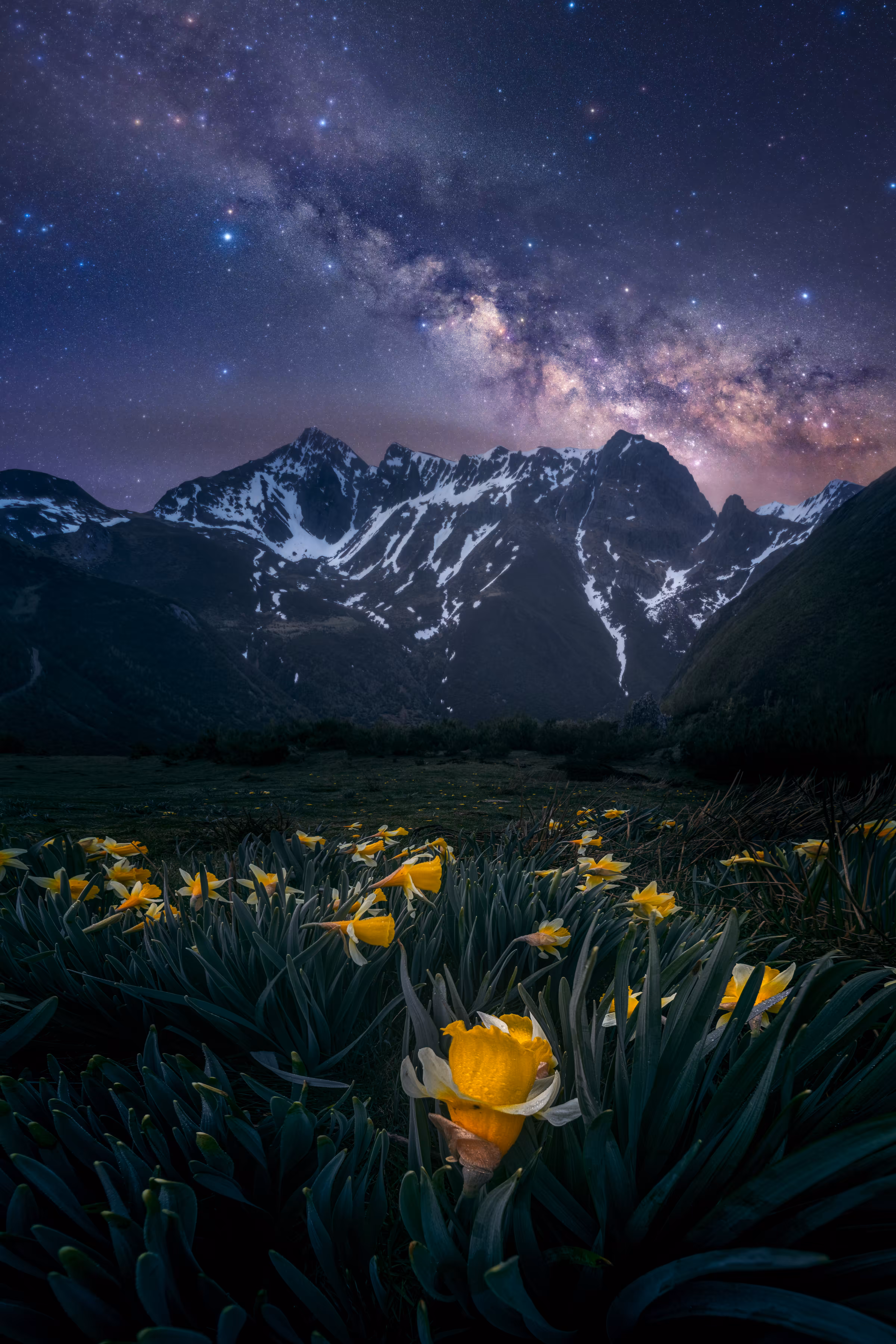 Looking at the universe