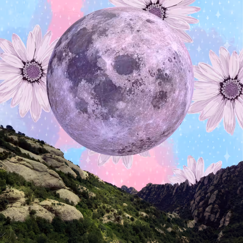 Pink Moon #16