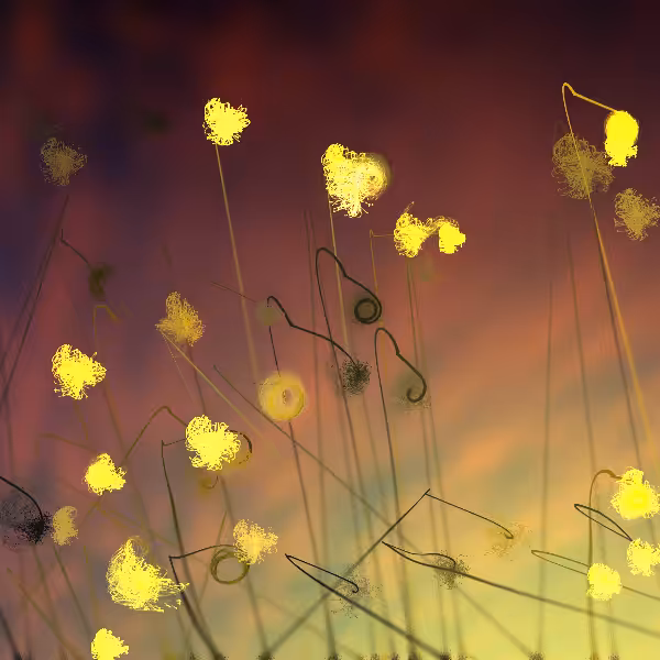 Cottongrass #56