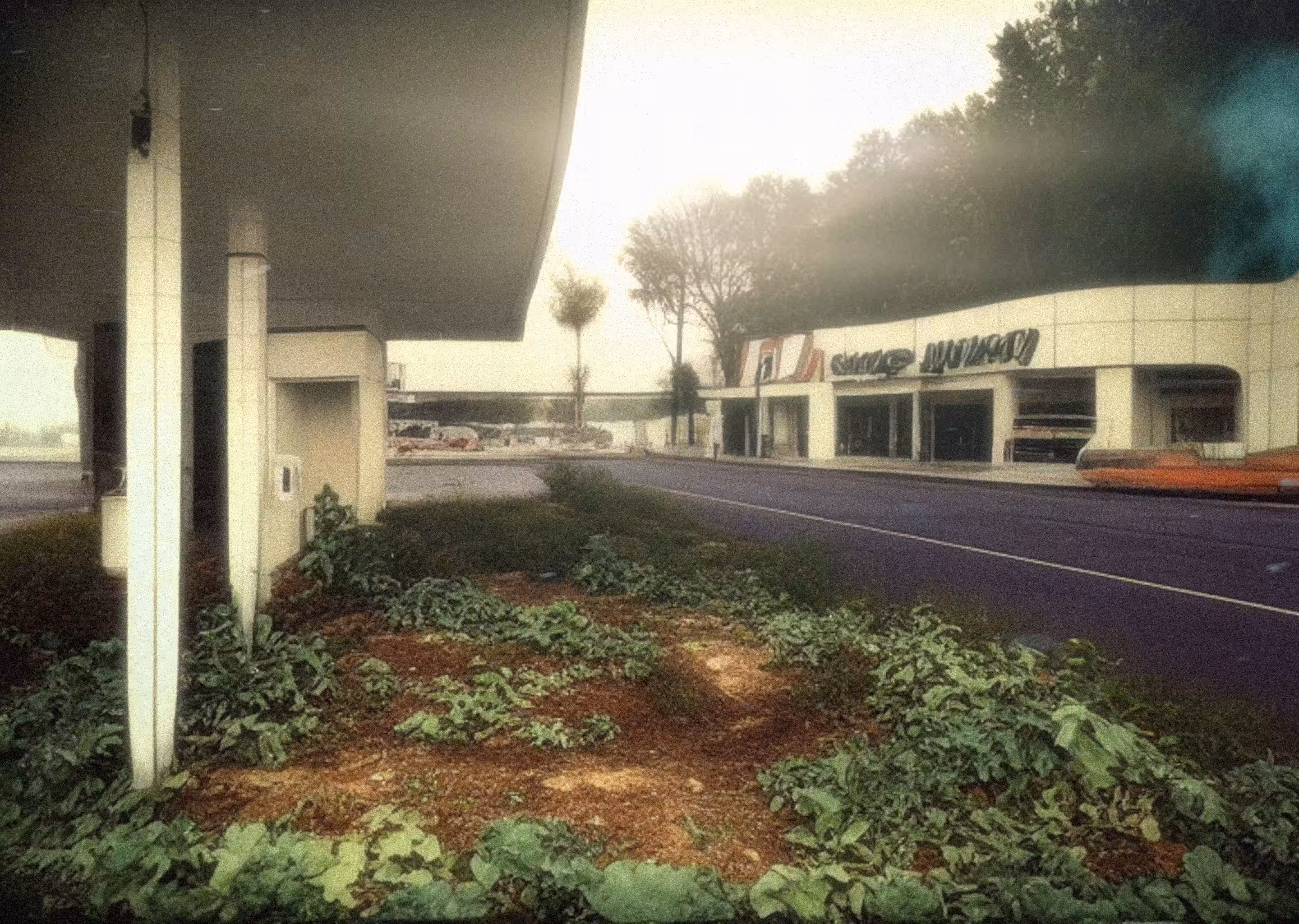 Urban decay dream #006