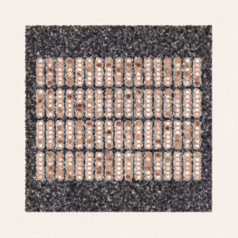 Long Form Blots #36