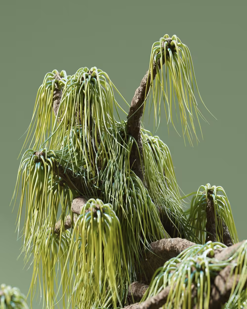 Alien Plantlife