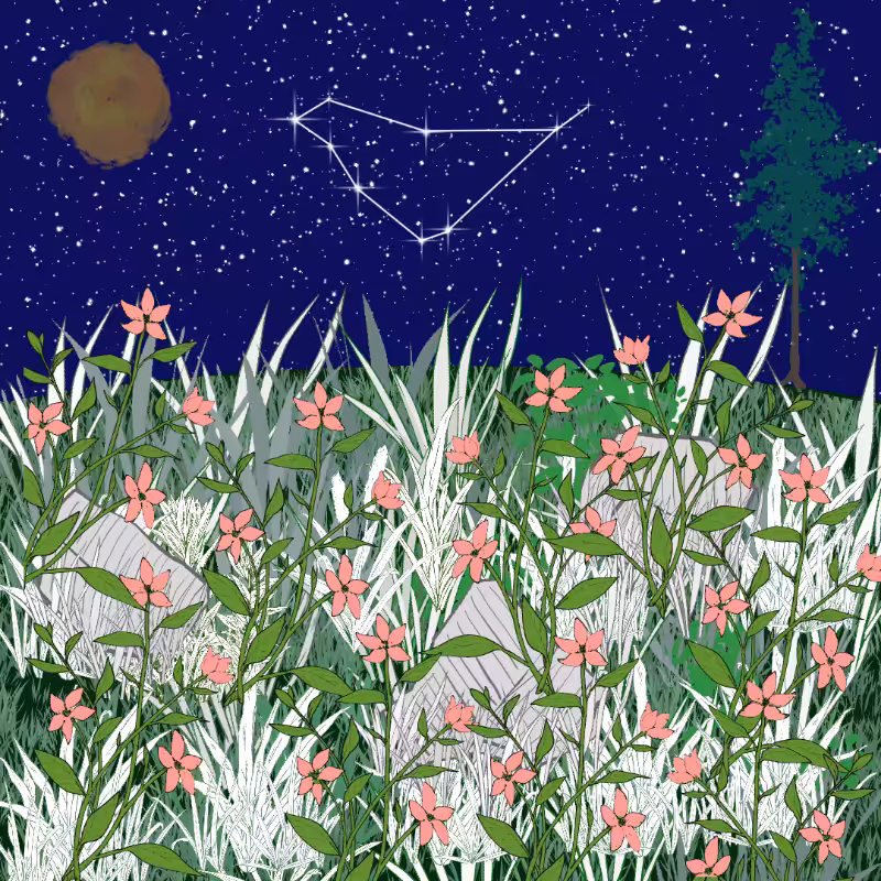Zodiac #15