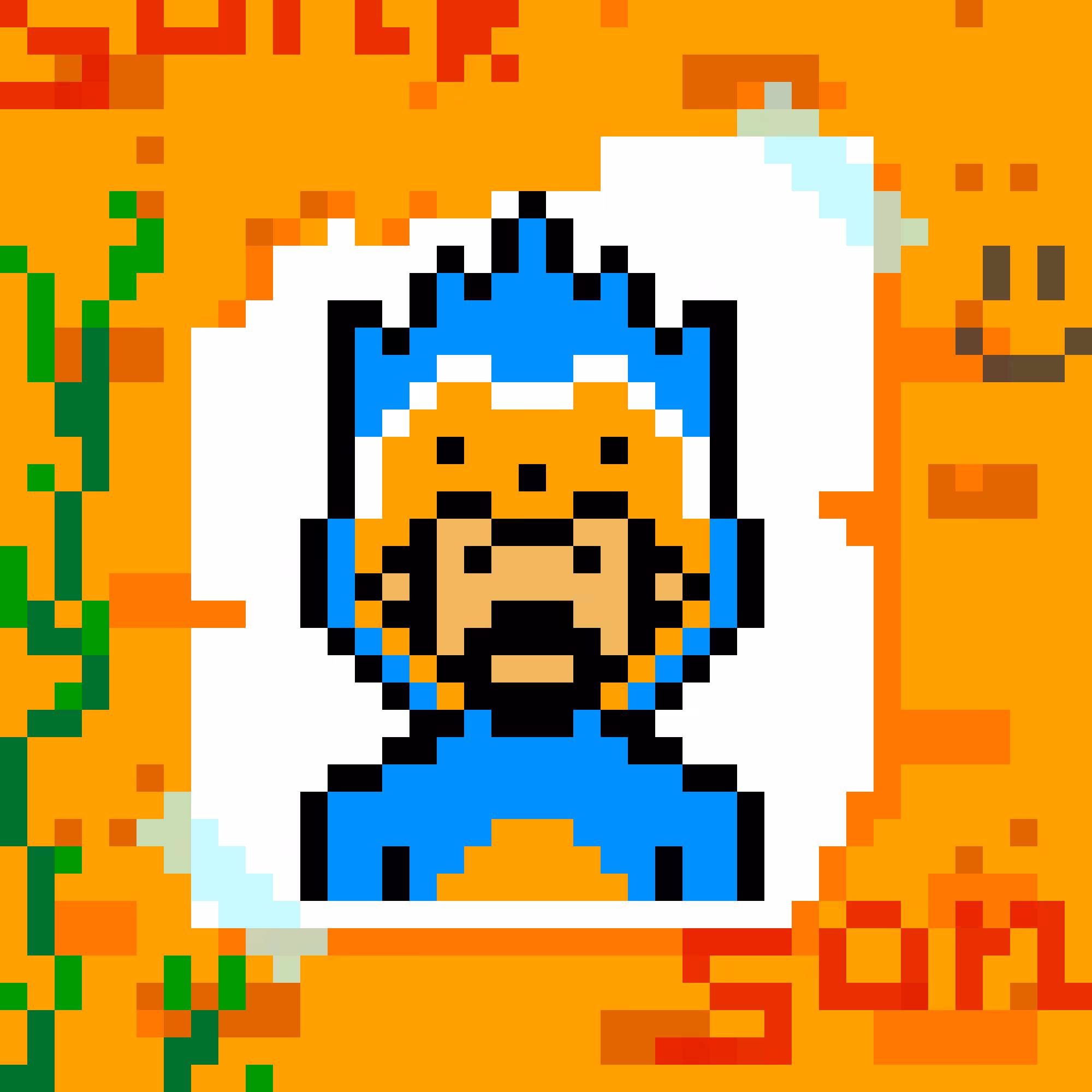 WHO IS SONK