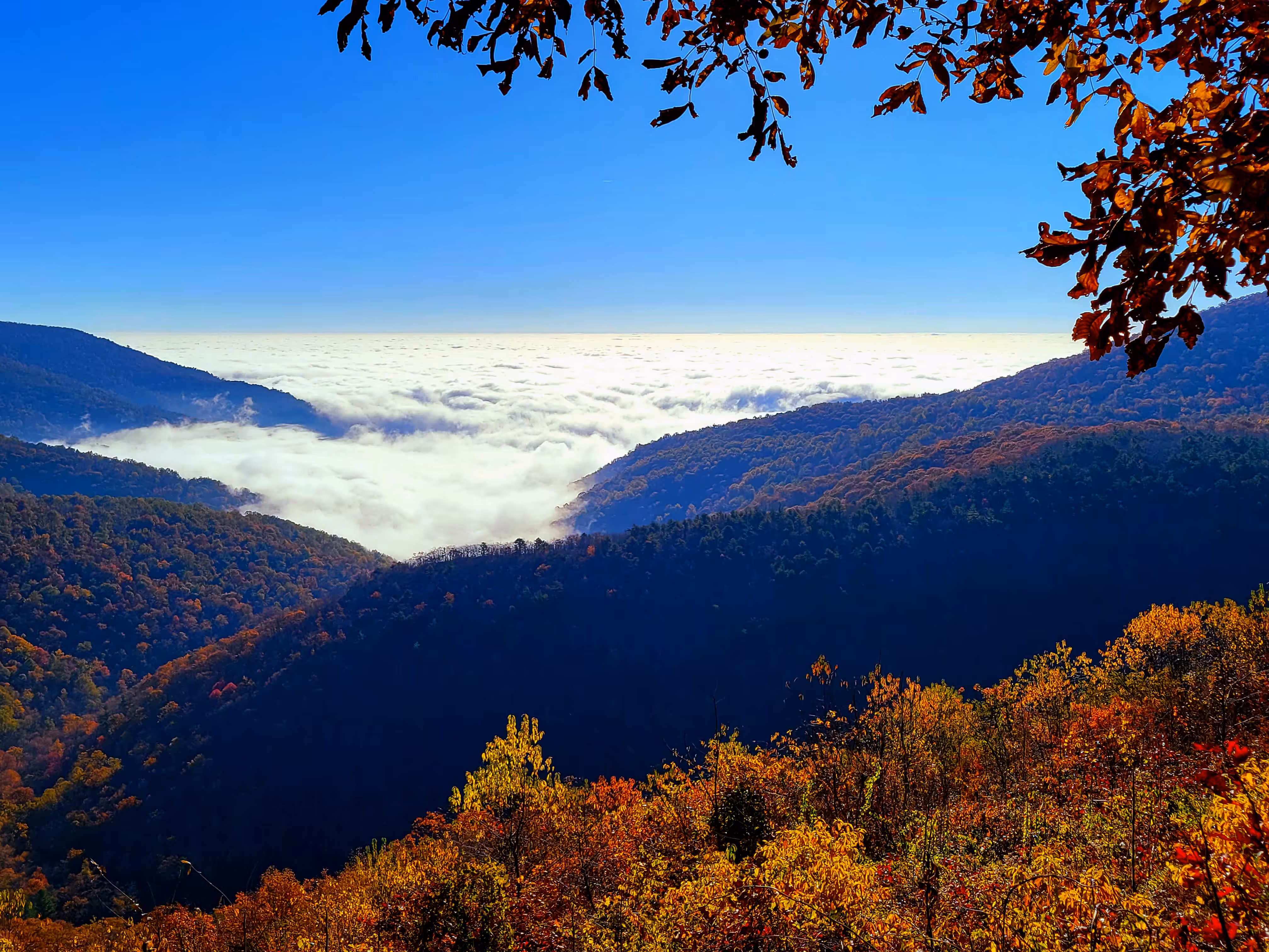 Autumn Blue Ridge