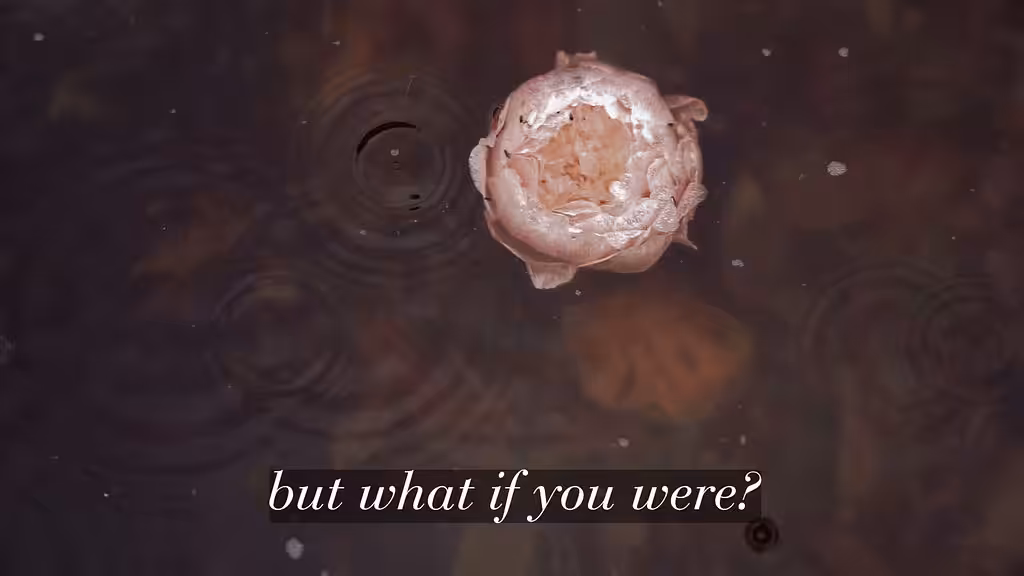 but what if you were?