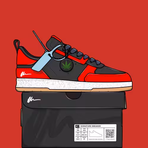 Signature Sneakers Generative: Signature Sneaker #564
