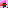 pnktn [ #ff2e39 > #81d5cb ]