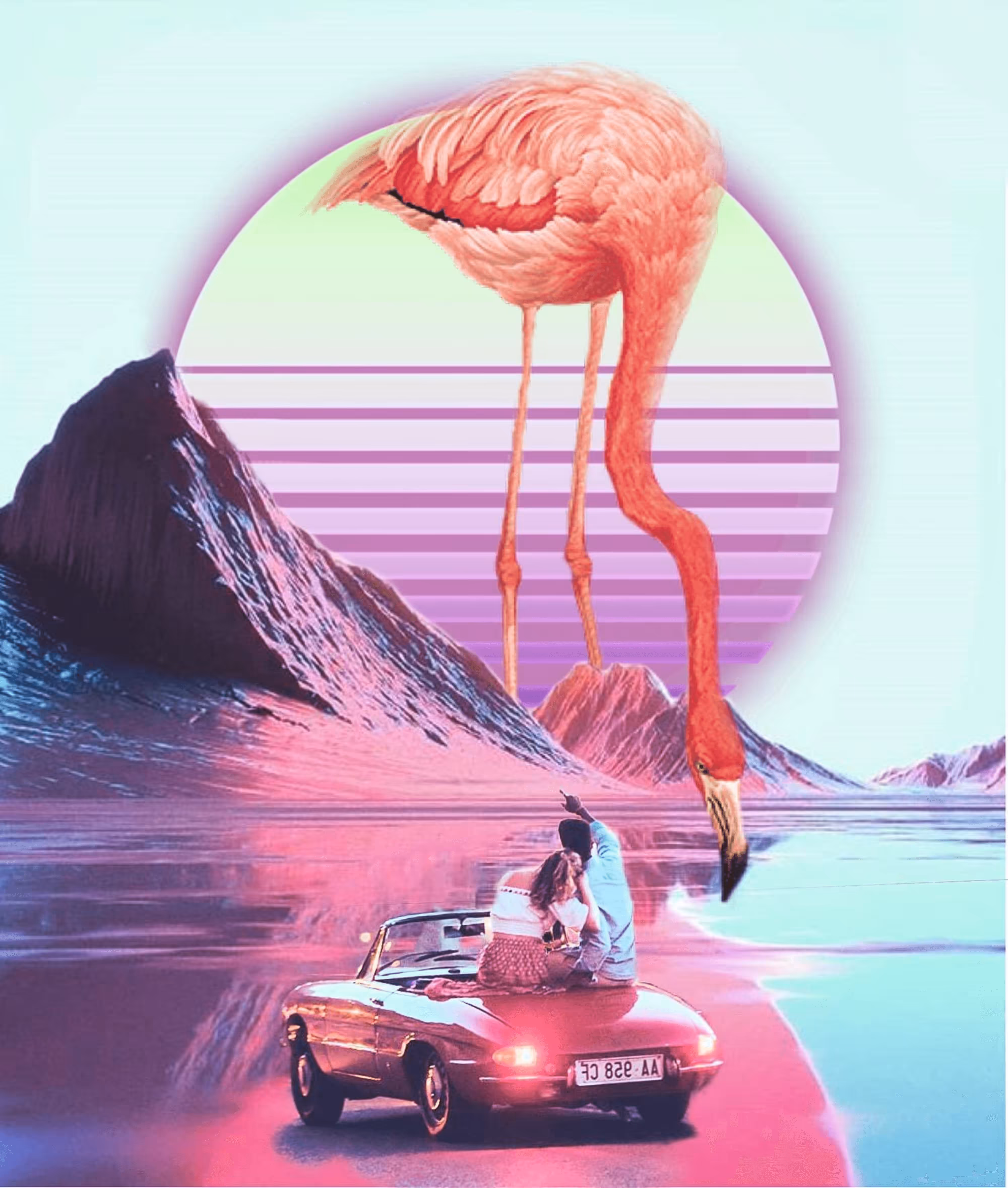 Flamingo Dreamers 