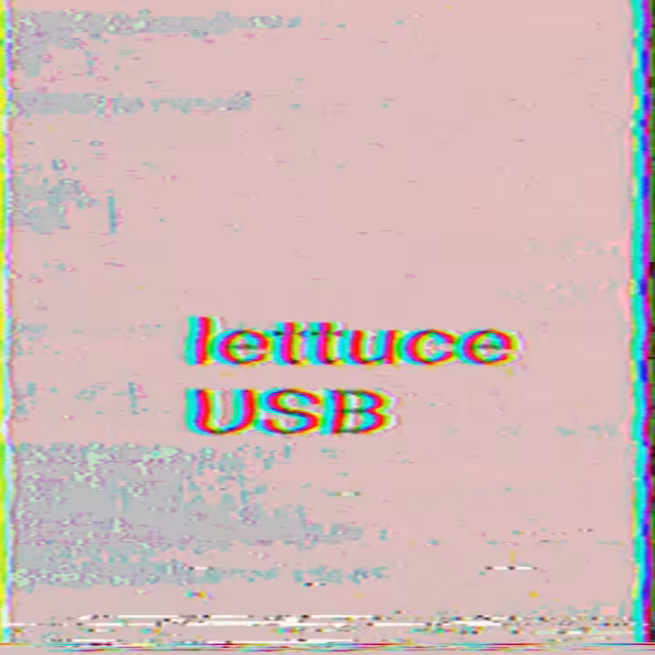lettuce USB