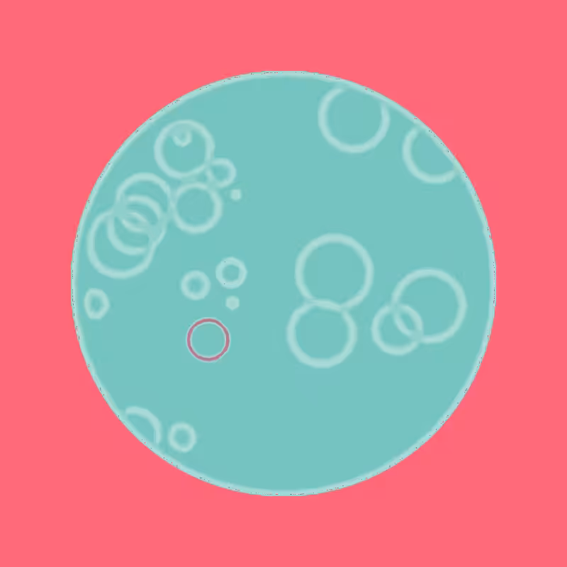Cheap Petri Dish #68
