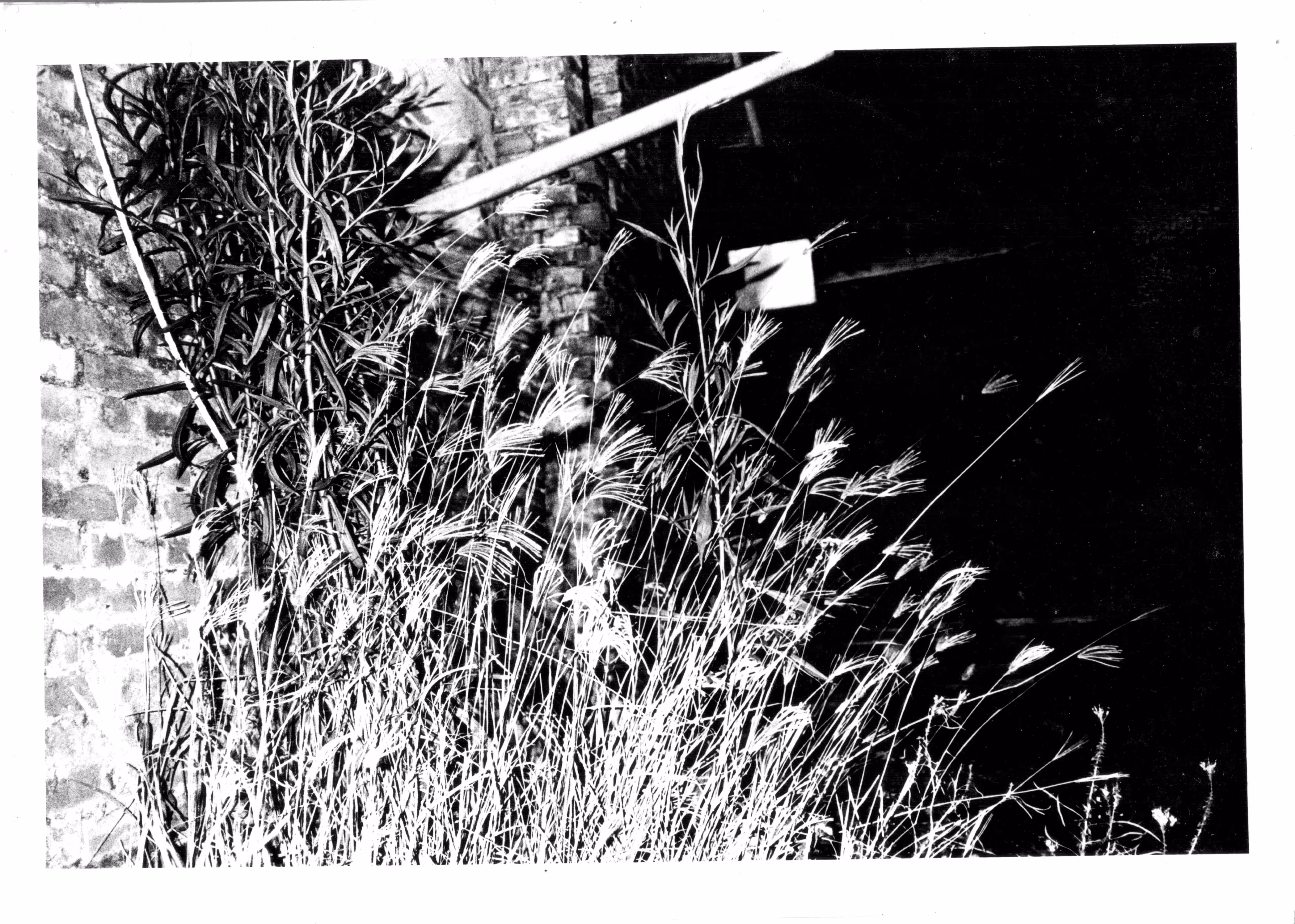 Darkroom practices #04