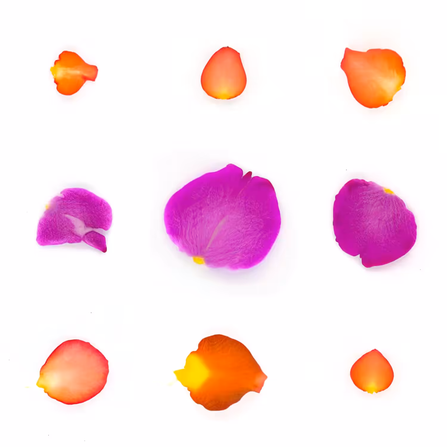 Infinite Petals 3x3#3247