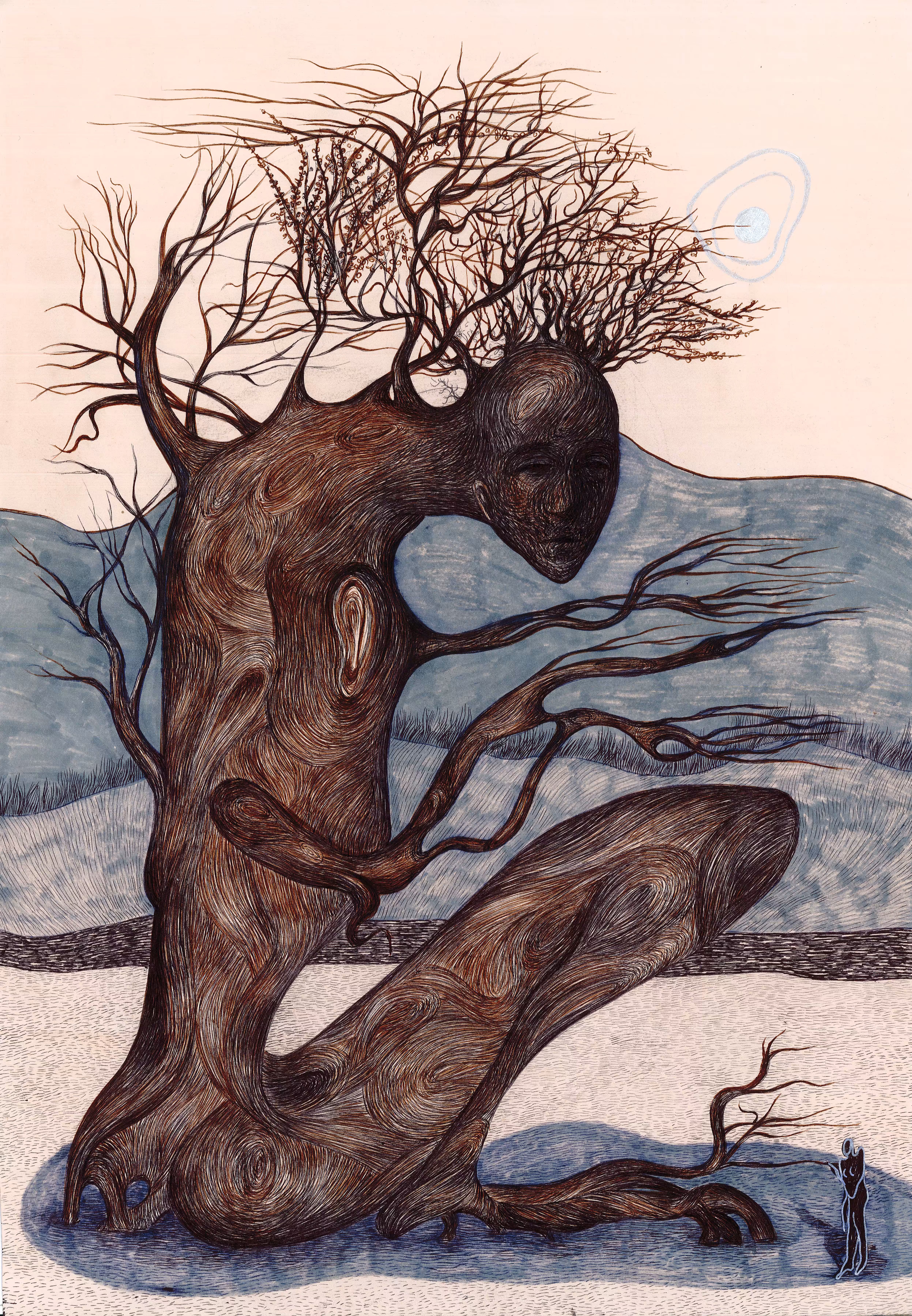 Old Sycamore