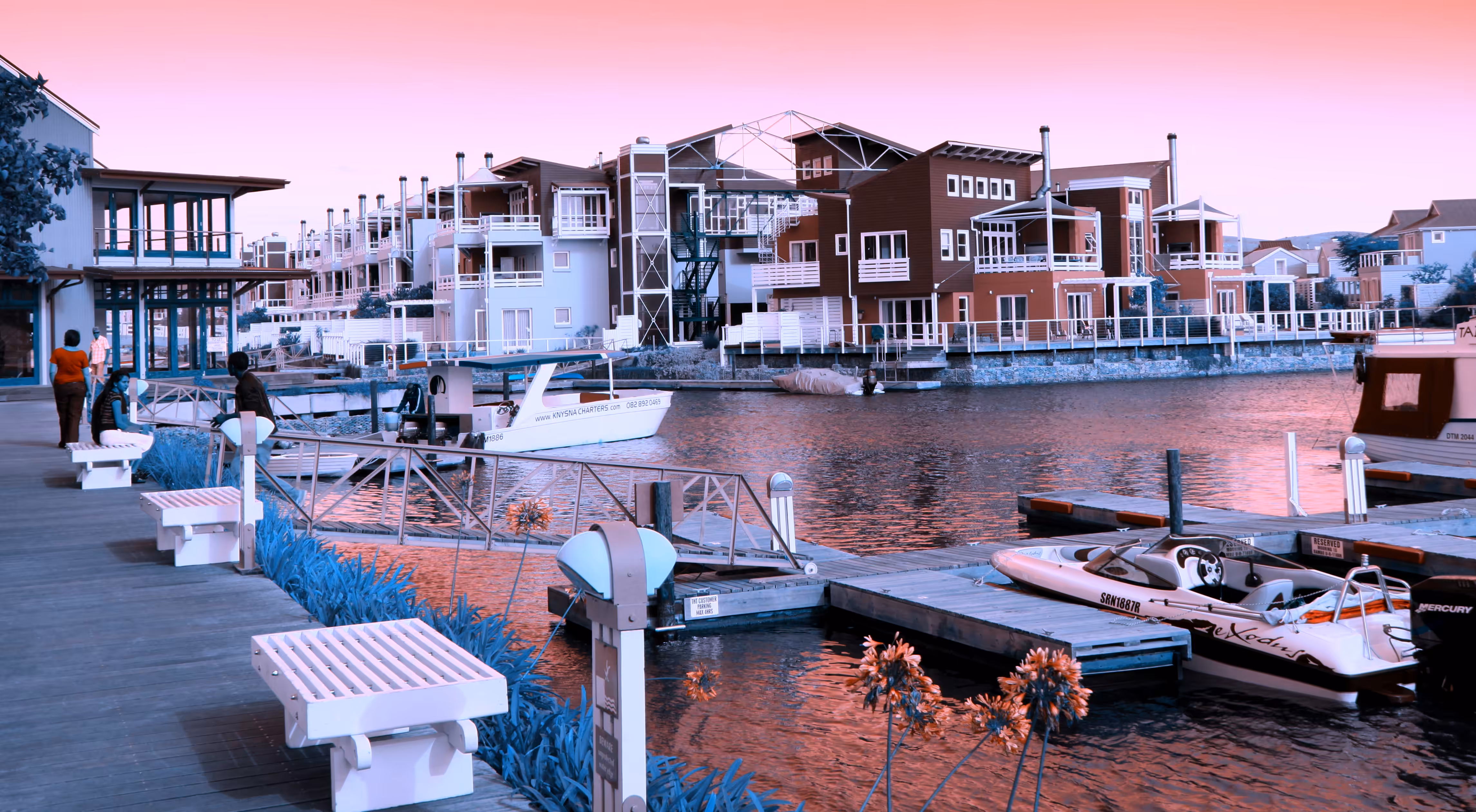Rodeo posts: Knysna Waterfront