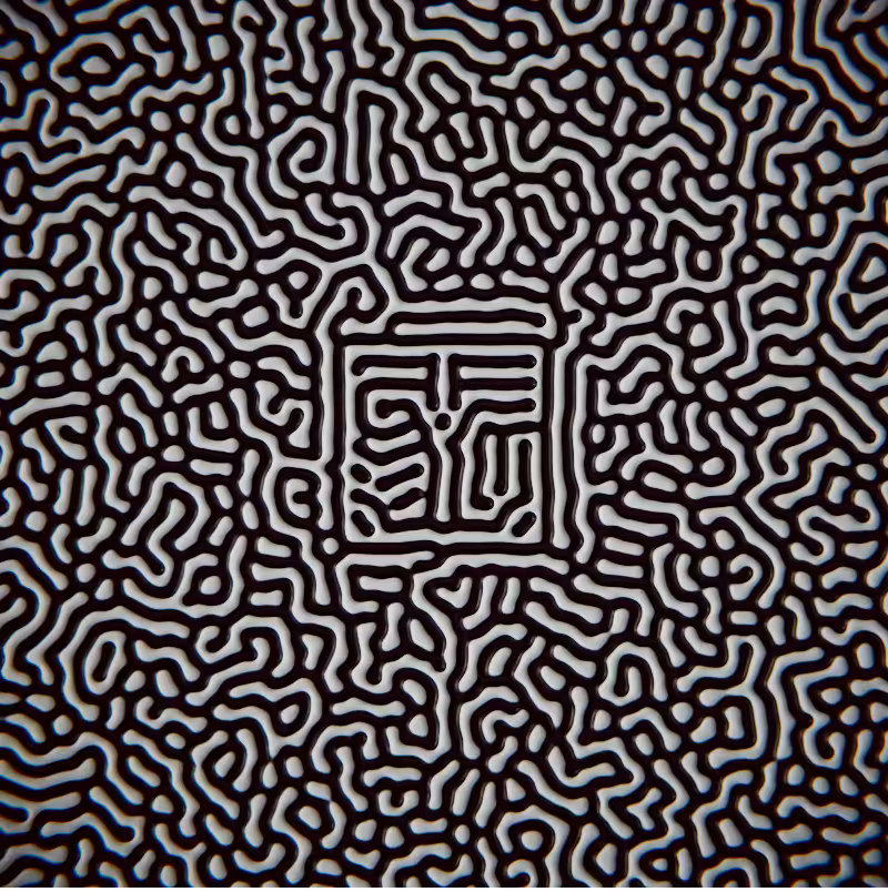 Biomechanika #45