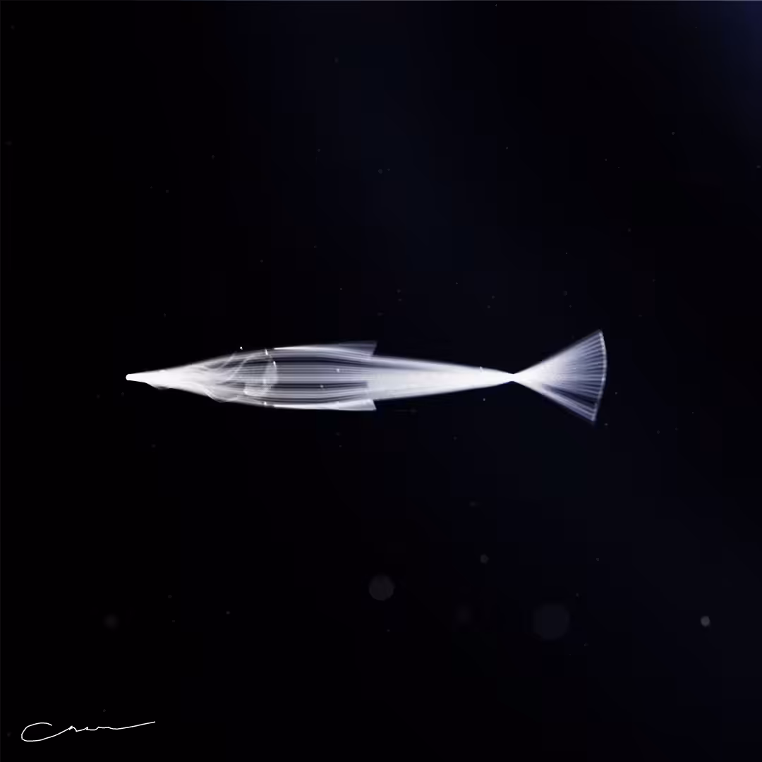 SoulFish #257