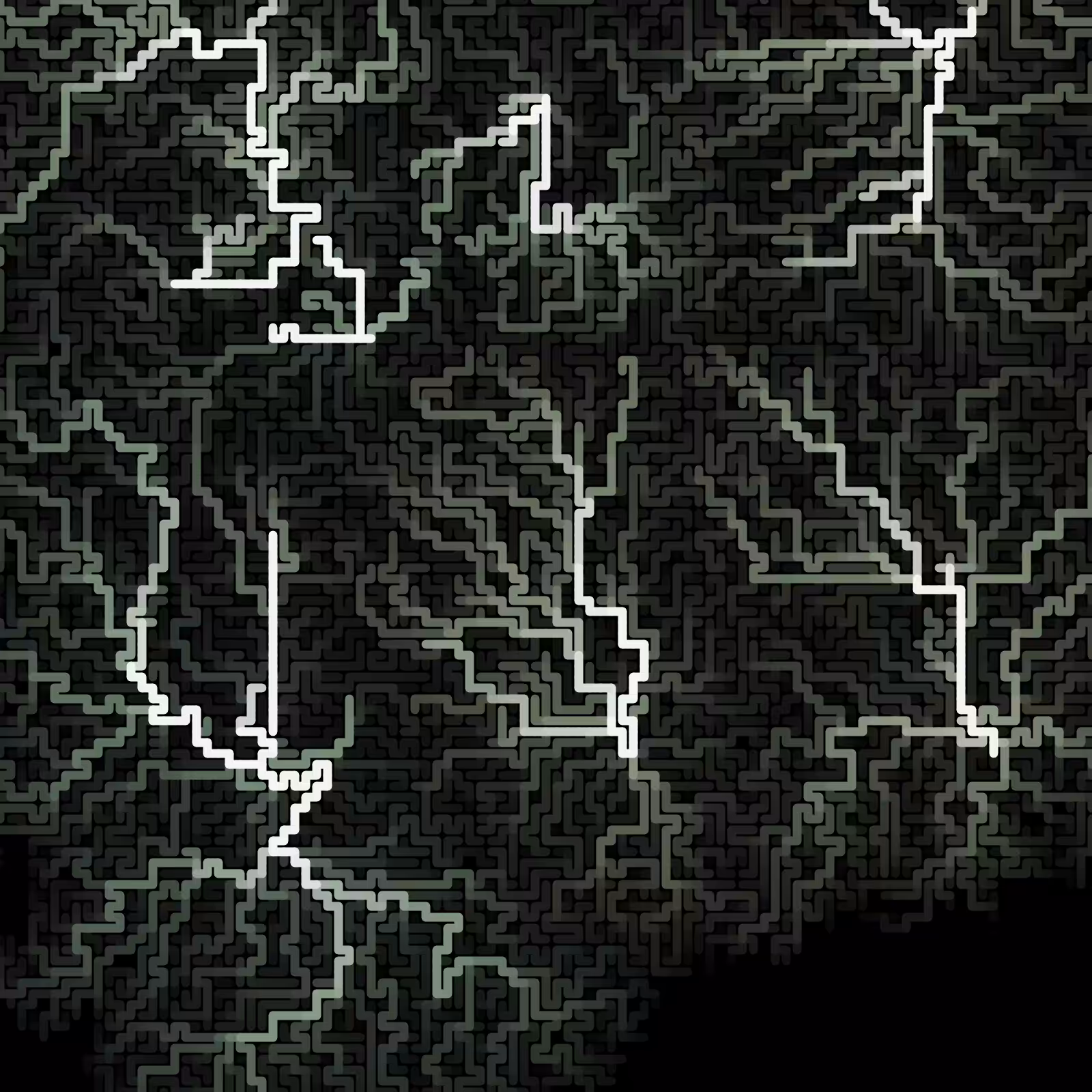 The Road More Traveled #11