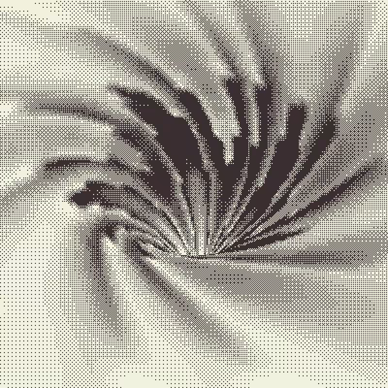 Down the Drain #123