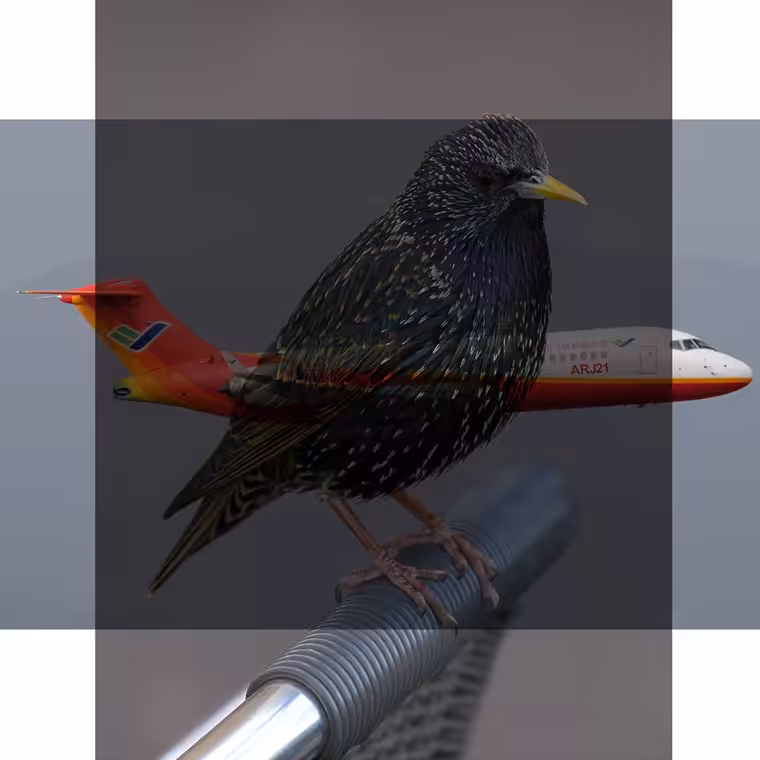 a2p-v2 #0