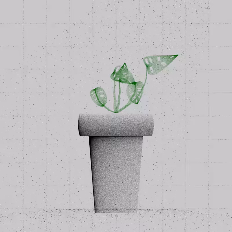 🌱 Potted & Printed #6